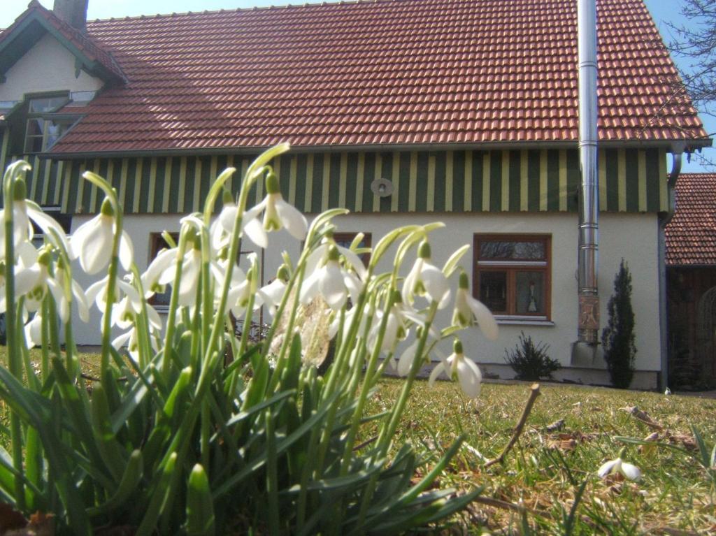 Bio Pension Kirschenfee Sontheim  Exterior foto
