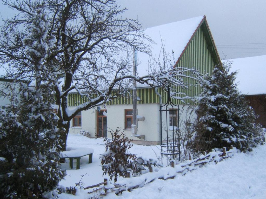Bio Pension Kirschenfee Sontheim  Exterior foto